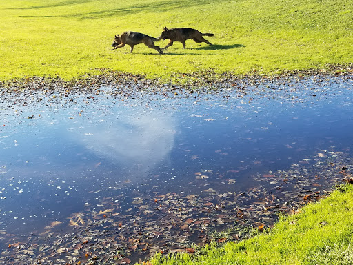 Golf Course «Niagara County Golf Course», reviews and photos, 314 Davison Rd, Lockport, NY 14094, USA