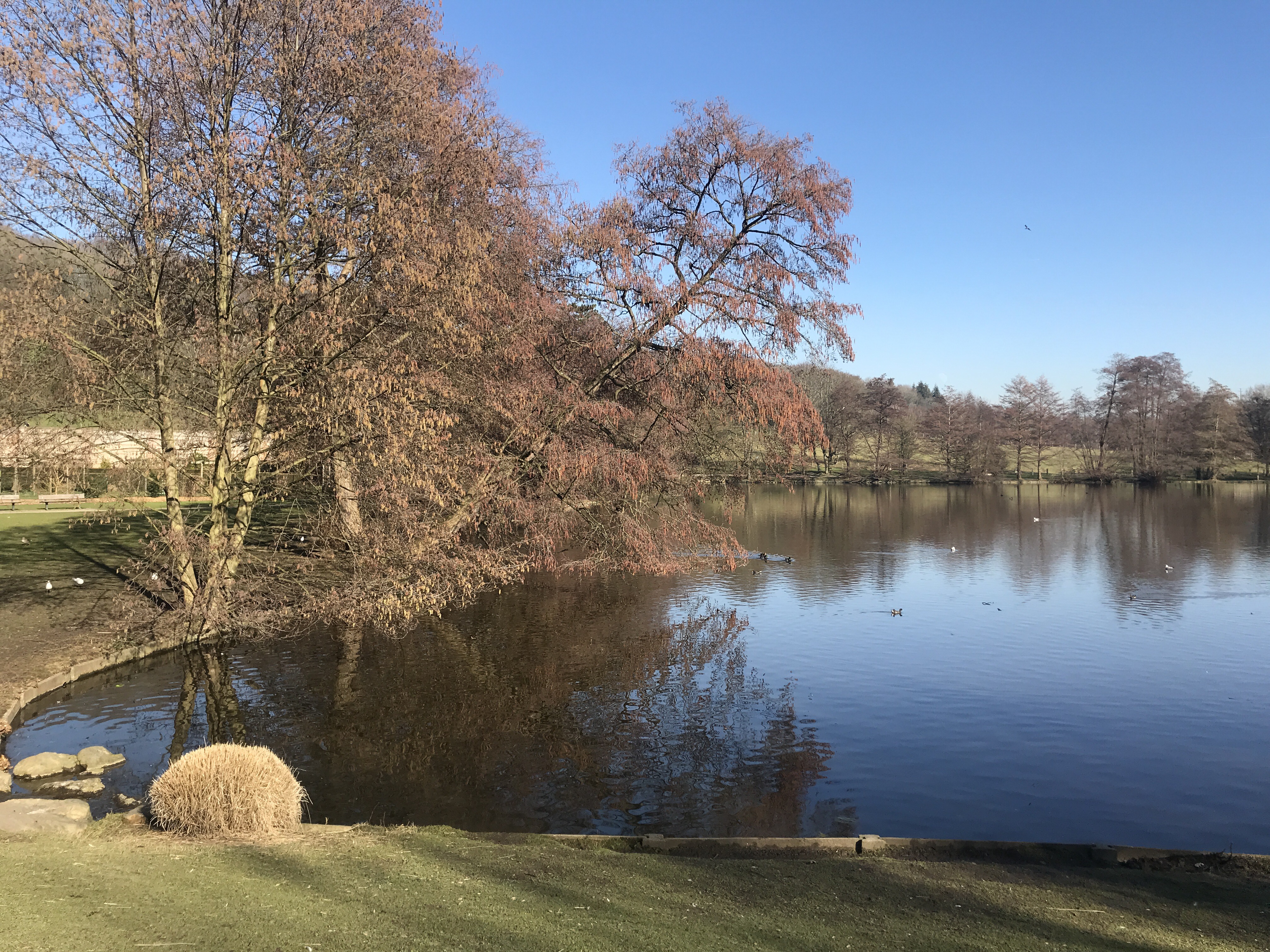 Photo n° 3 de l'avis de Kevin.e fait le 15/02/2019 à 13:05
