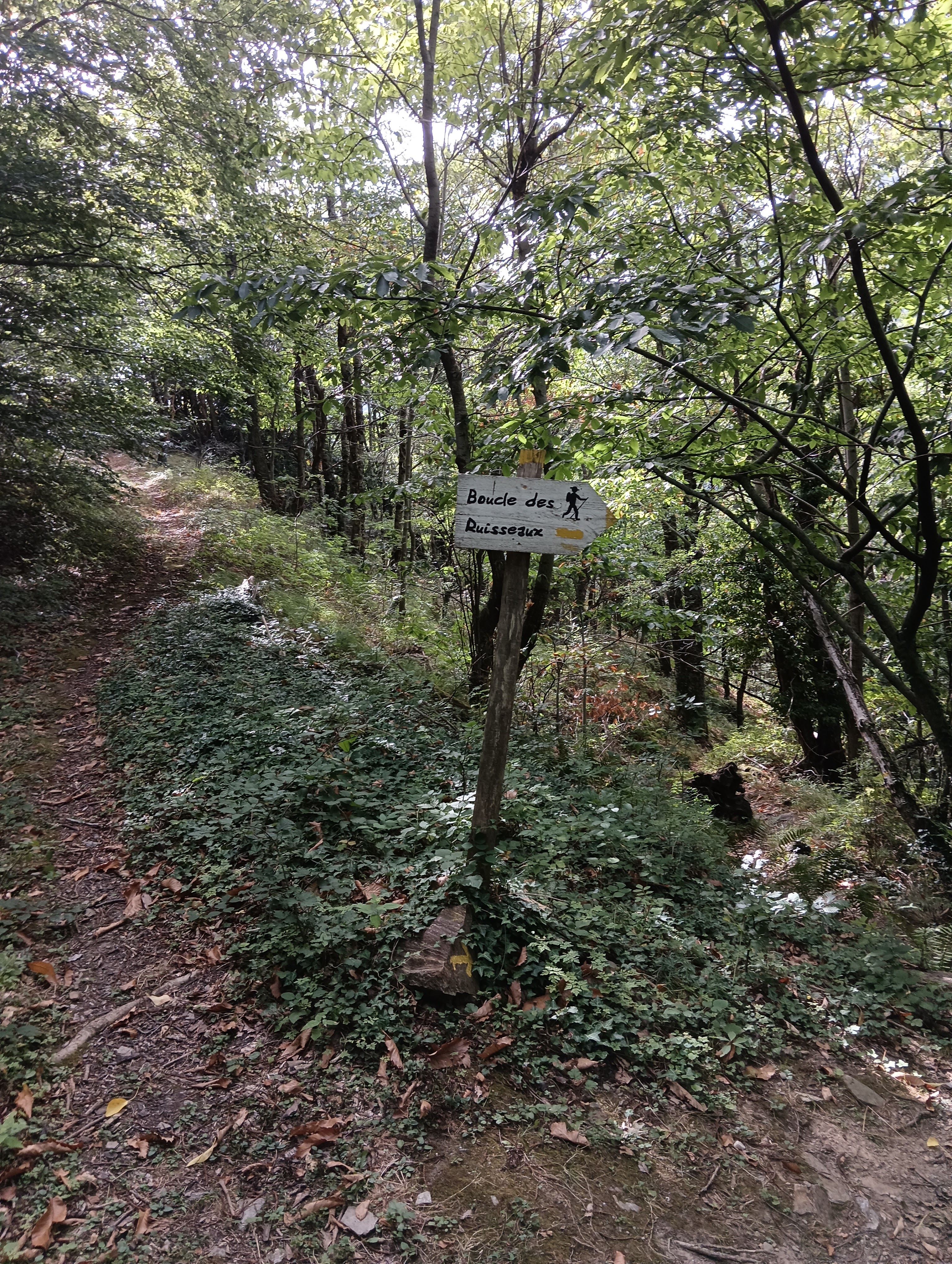 Photo n° 19 de l'avis de Bilbon.A fait le 06/09/2023 à 20:58