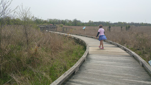 Nature Preserve «DuPont Environmental Education Center of Delaware Nature Society», reviews and photos, 1400 Delmarva Ln, Wilmington, DE 19801, USA