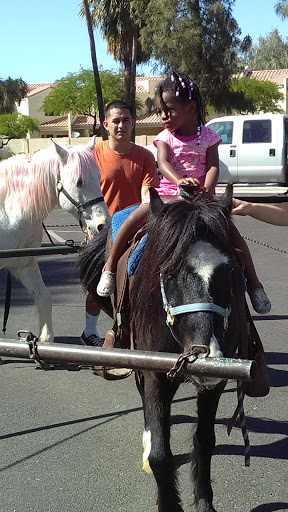 Park «Folley Memorial Park», reviews and photos, 601 E Frye Rd, Chandler, AZ 85225, USA