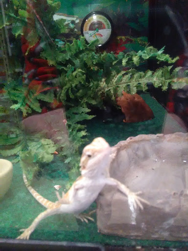 Pet Supply Store «Pet Supplies Plus», reviews and photos, 50633 Gratiot Ave, Chesterfield, MI 48051, USA