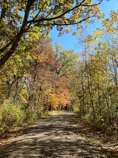 Golf Course «Lake of the Woods Golf Course», reviews and photos, 405 N Lake of the Woods Rd, Mahomet, IL 61853, USA