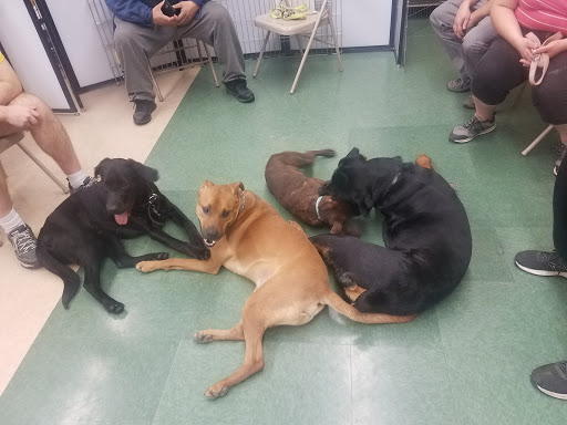 Pet Supply Store «Petco Animal Supplies», reviews and photos, 891 NE D St, Grants Pass, OR 97526, USA