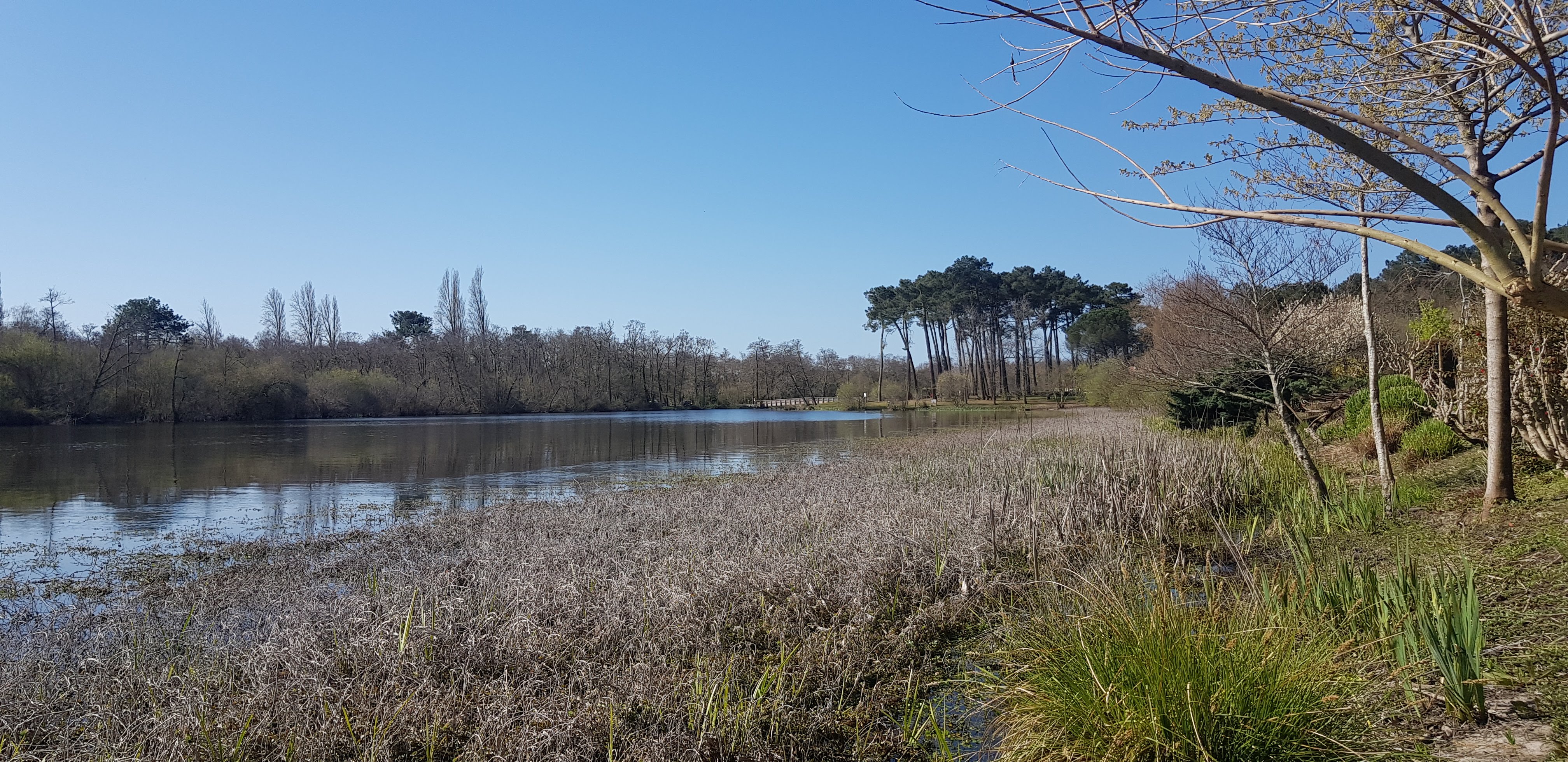 Photo n° 11 de l'avis de Nathalie.o fait le 29/03/2021 à 15:45