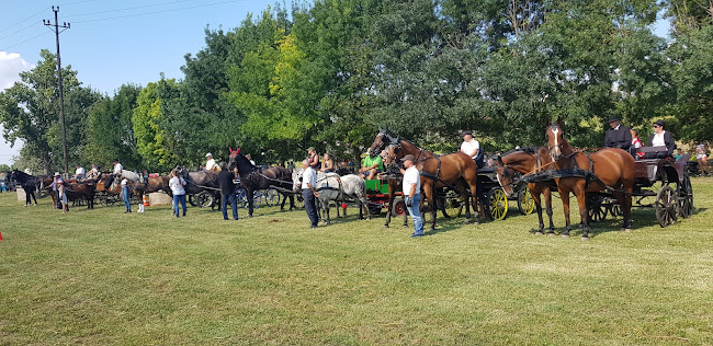 Értékelések erről a helyről: Polgármesteri Hivatal Kocs, Kocs - Orvos