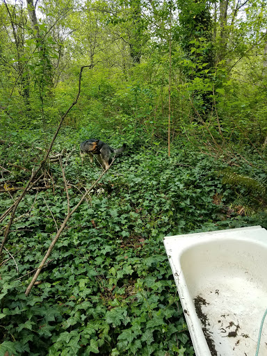 Park «Sacajawea Park», reviews and photos, 1401 S Dash Point Rd, Federal Way, WA 98003, USA