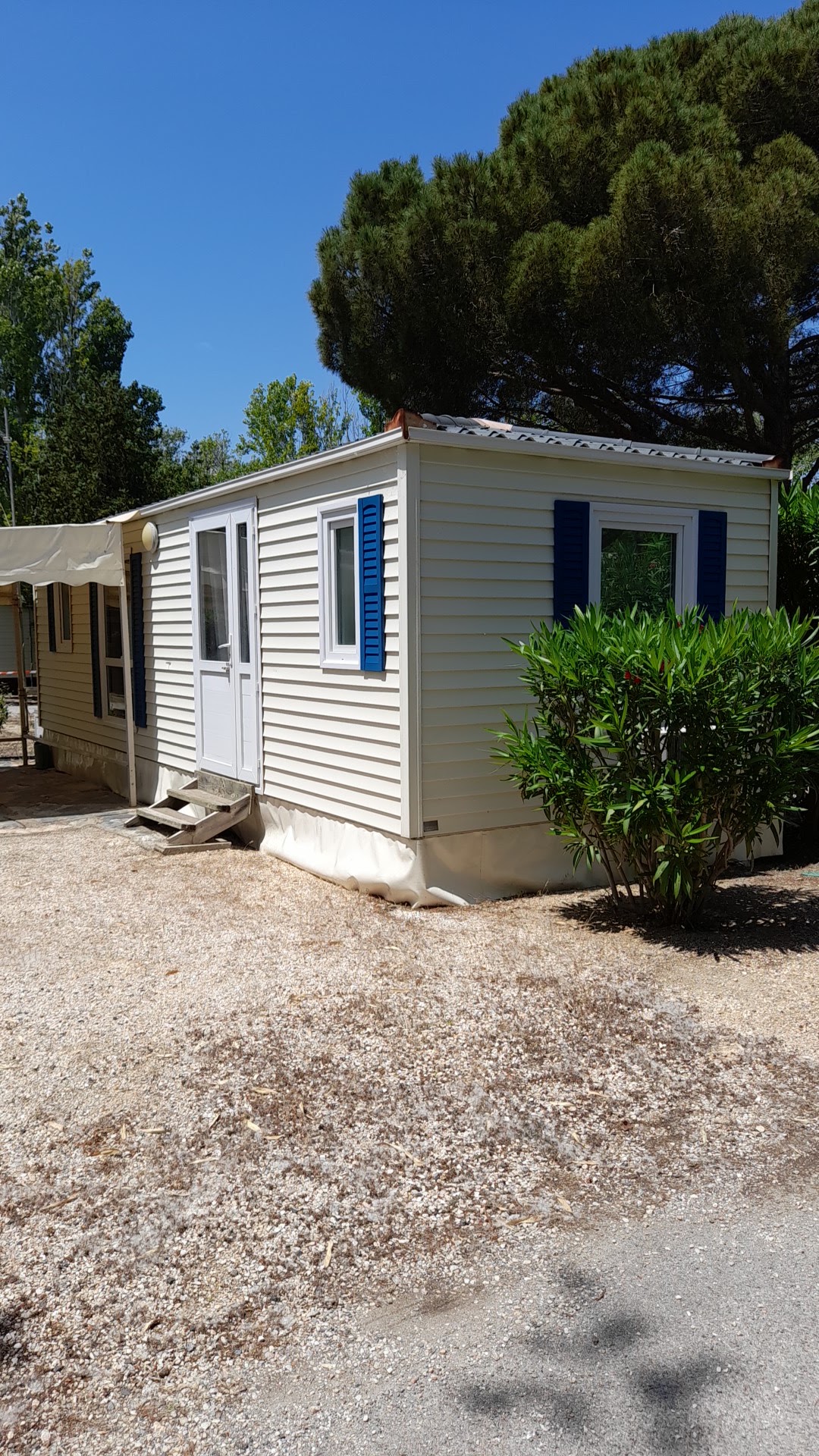 Photo n° 4 de l'avis de Pelote.E fait le 29/05/2023 à 11:47