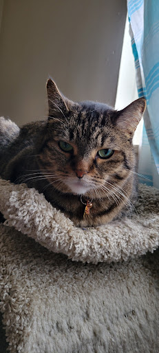 Pet Supply Store «Pet Supplies Plus», reviews and photos, 6030 S Pennsylvania Ave, Lansing, MI 48911, USA