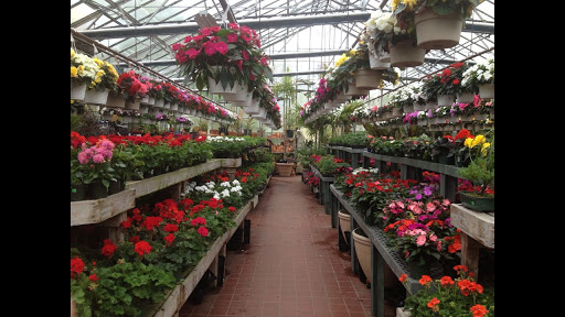 Garden Center «Westminster Nursery & Florist», reviews and photos, 30 Westminster Rd, West Hempstead, NY 11552, USA
