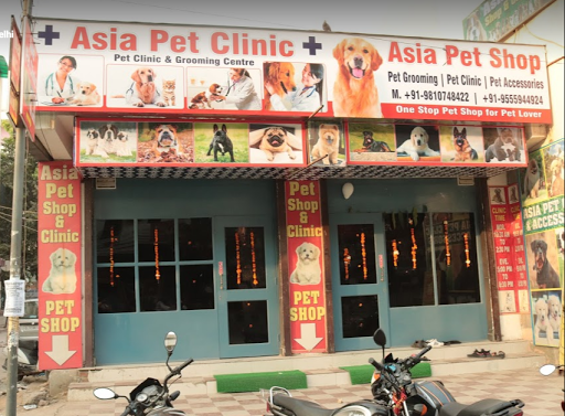 Asia Pet Shop & Dog Clinic - Puppies for Sale in Delhi | Gurgaon | Faridabad | Noida