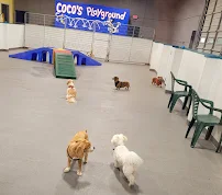 What a Ruff Life - Car repair in Newington, CT, Hartford - Rated 4.8/5
