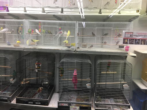 Pet Supply Store «Petland Discounts - Park Slope», reviews and photos, 510 5th Ave, Brooklyn, NY 11215, USA