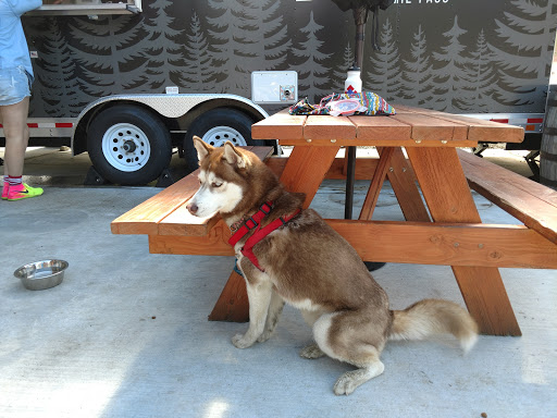 Dru Bru - Snoqualmie Pass