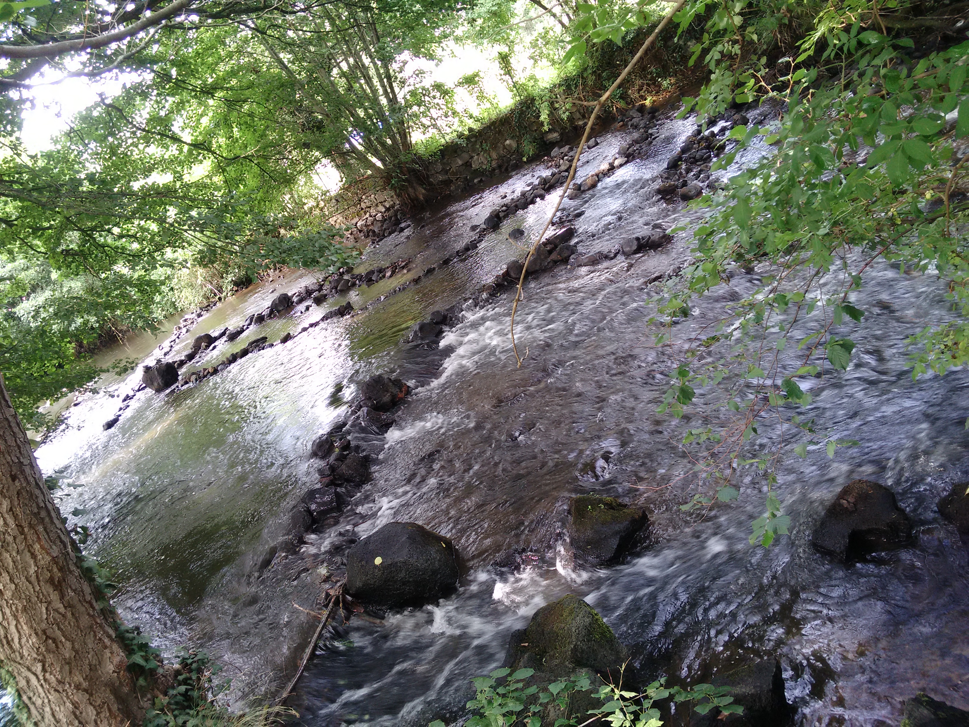 Photo n° 1 de l'avis de Aurore. fait le 20/08/2019 à 19:02
