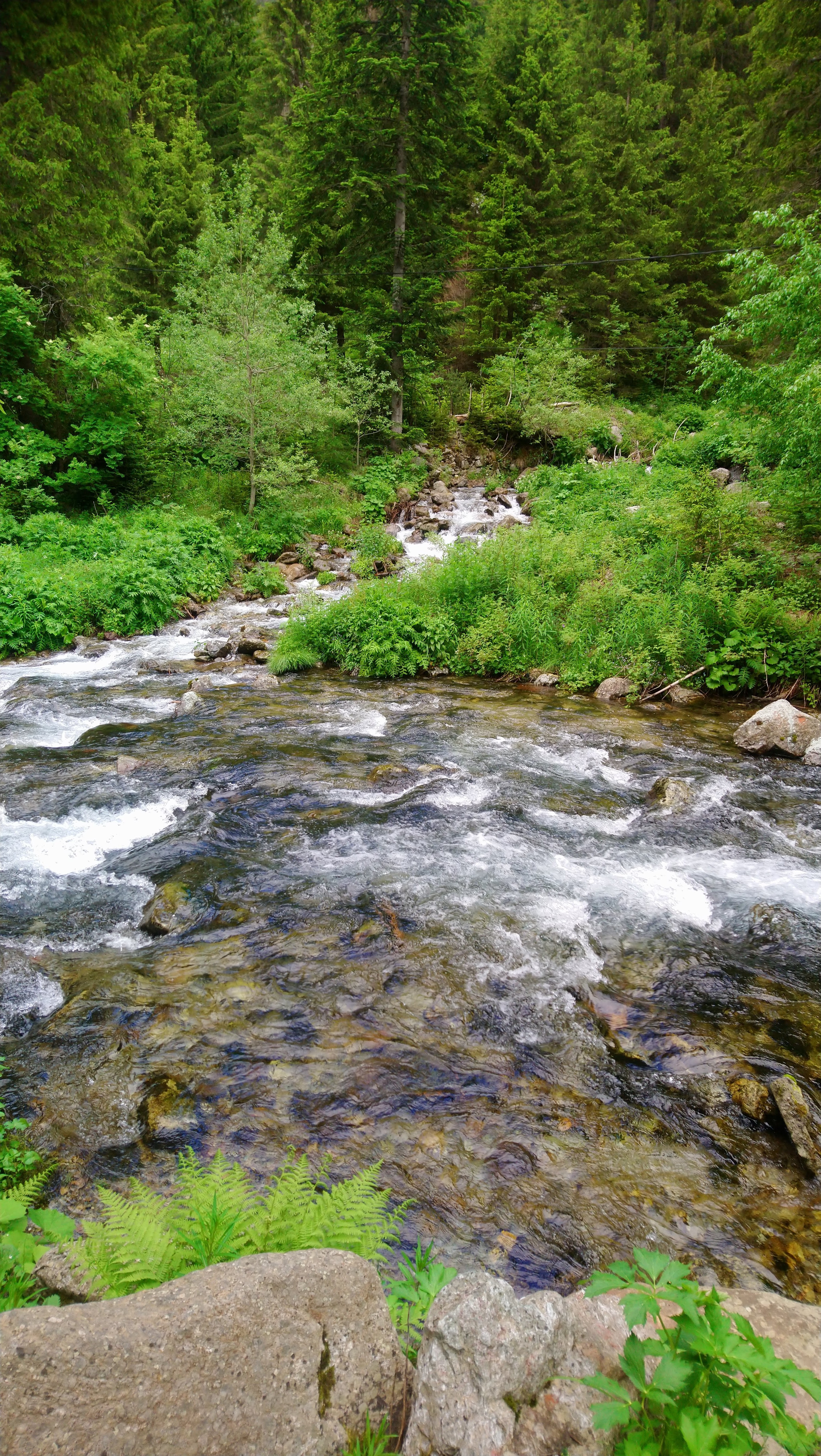 Photo n° 21 de l'avis de CHRISTOPHE. fait le 02/08/2019 à 07:51