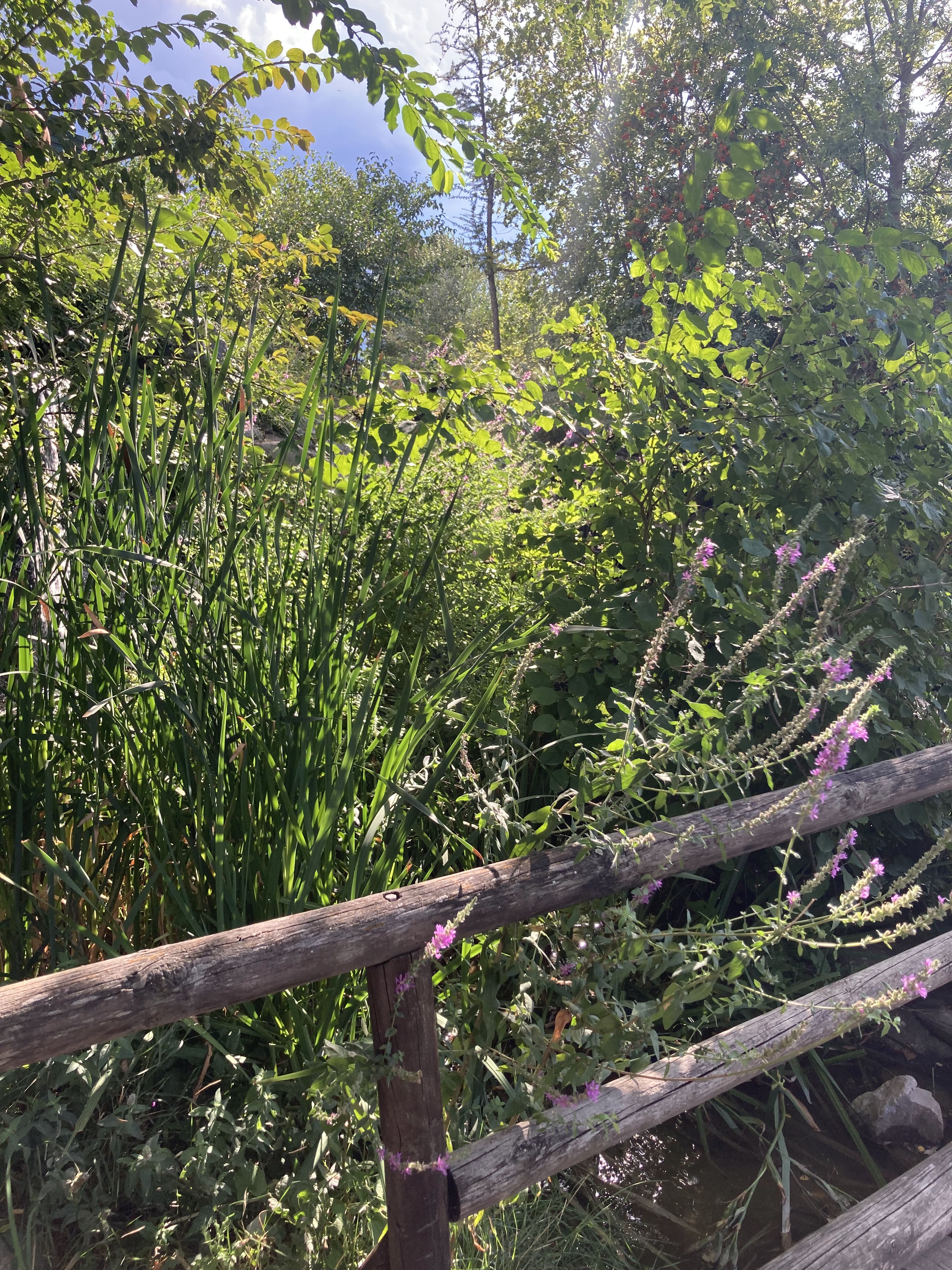 Photo n° 12 de l'avis de Laurianne.o fait le 26/08/2022 à 16:16