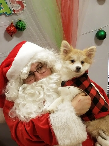 Pet Supply Store «PetSmart», reviews and photos, 3995 Welsh Rd, Willow Grove, PA 19090, USA