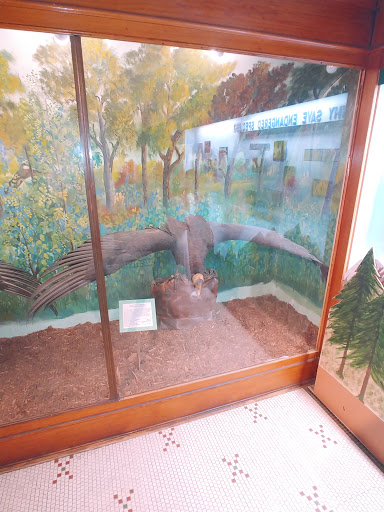 Museum «Elgin Public Museum», reviews and photos, 225 Grand Blvd, Elgin, IL 60120, USA