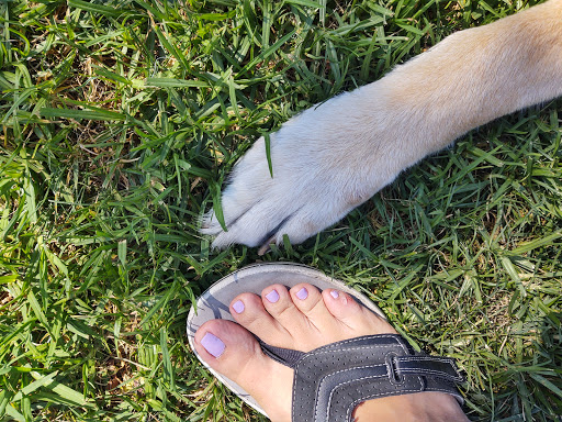 Park «Mike Ward Community Park Woodbridge», reviews and photos, 20 Lake Rd, Irvine, CA 92604, USA