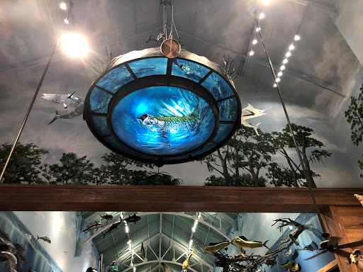 Sporting Goods Store «Bass Pro Shops», reviews and photos, 10501 Palm River Rd, Tampa, FL 33619, USA