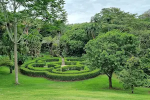 Jardín Else Kientzler image