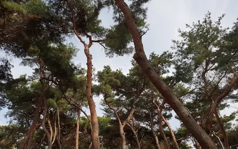 배산공원 image
