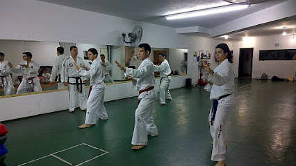 Asociación Integral de Taekwondo