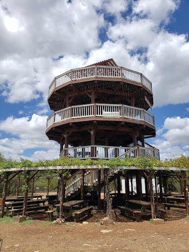 Golf Club «Flying Armadillo Disc Golf Club», reviews and photos, 3115 Hilliard Rd, San Marcos, TX 78666, USA