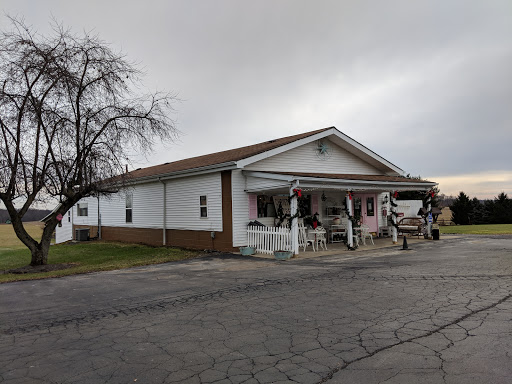 Home Goods Store «Monica Potter Home», reviews and photos, 12724 OH-88, Garrettsville, OH 44231, USA