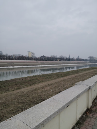 Hozzászólások és értékelések az Olajka parkoló-ról