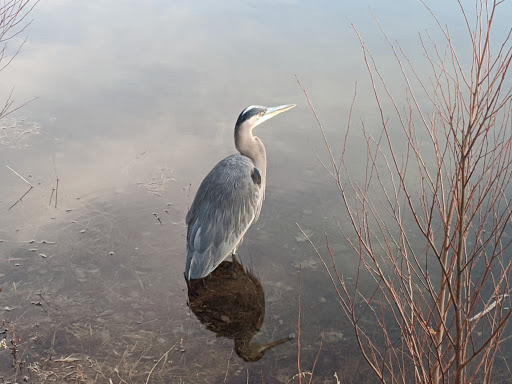 Park «NARA Park», reviews and photos, 25 Ledge Rock Way, Acton, MA 01720, USA