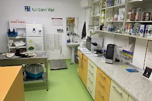 Green Vet - Veterinary Office Iasi & Grooming image