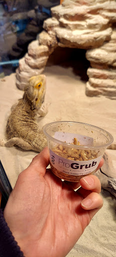 Cornerstone Protein - ProGrub