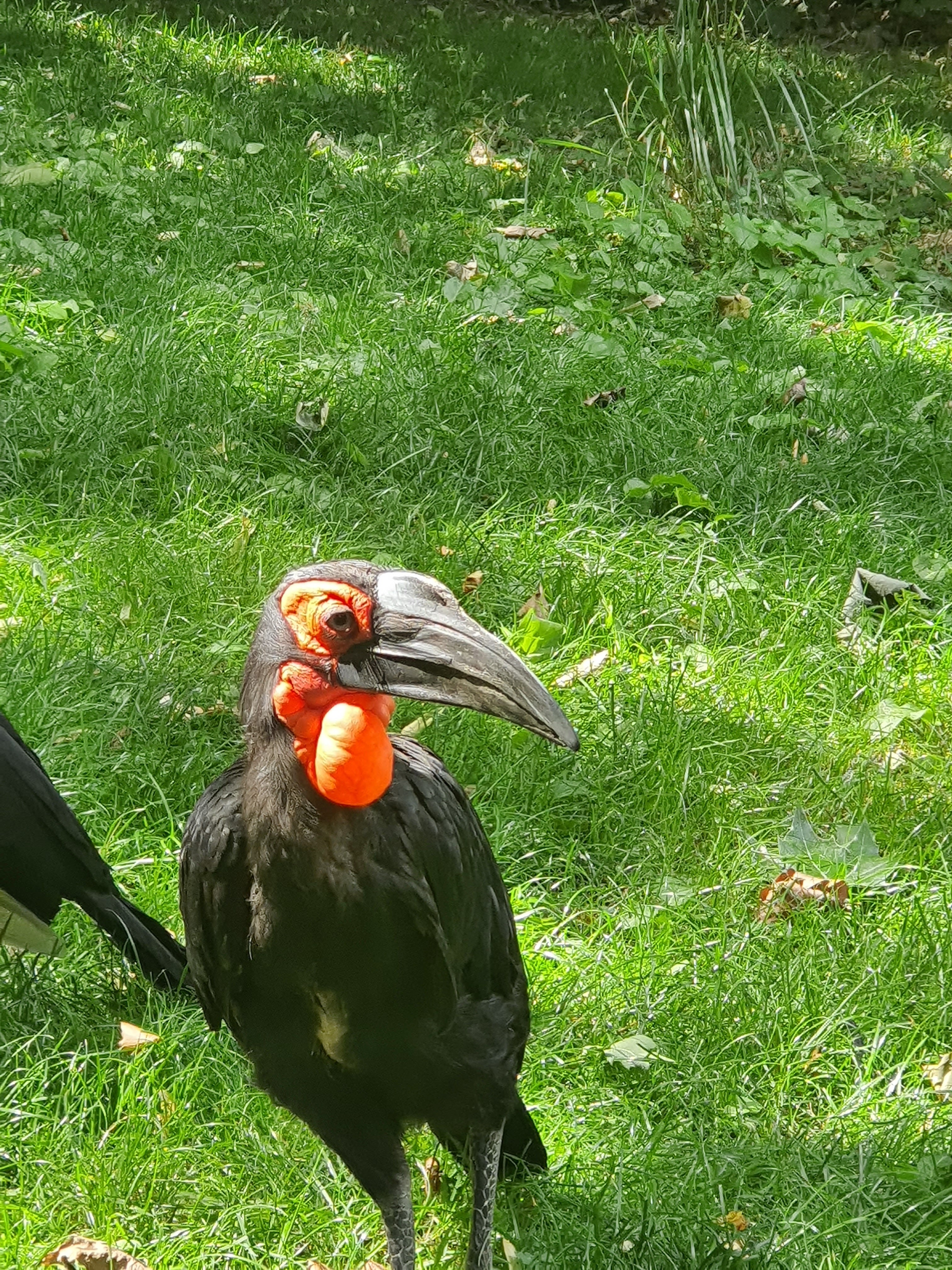 Photo n° 7 de l'avis de Mylene.o fait le 17/07/2023 à 15:57