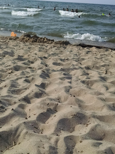 National Park «West Beach - Indiana Dunes National Lakeshore», reviews and photos, Long Lake Trail Loop, Gary, IN 46403, USA