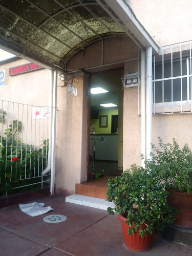Clínica Veterinaria San Lazaro - Independencia