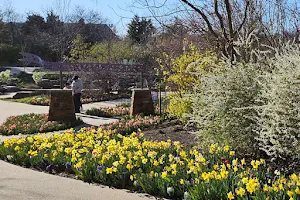 Tulsa Botanic Garden image