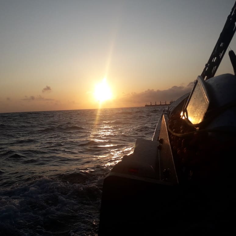 Photo n° 6 de l'avis de toni.n fait le 15/08/2019 à 11:48