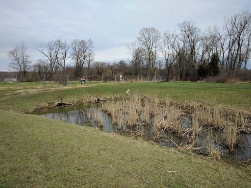 Dog Park «Beck Lake Off-Leash Dog Area», reviews and photos, 9700 Gloria Ct, Glenview, IL 60025, USA