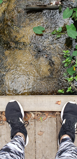 Park «Stephen J. Wortham Park», reviews and photos, 12108 Rhodine Rd, Riverview, FL 33579, USA