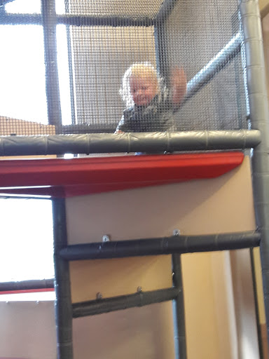 Fast Food Restaurant «Chick-fil-A», reviews and photos, 4925 Outer Loop, Louisville, KY 40219, USA