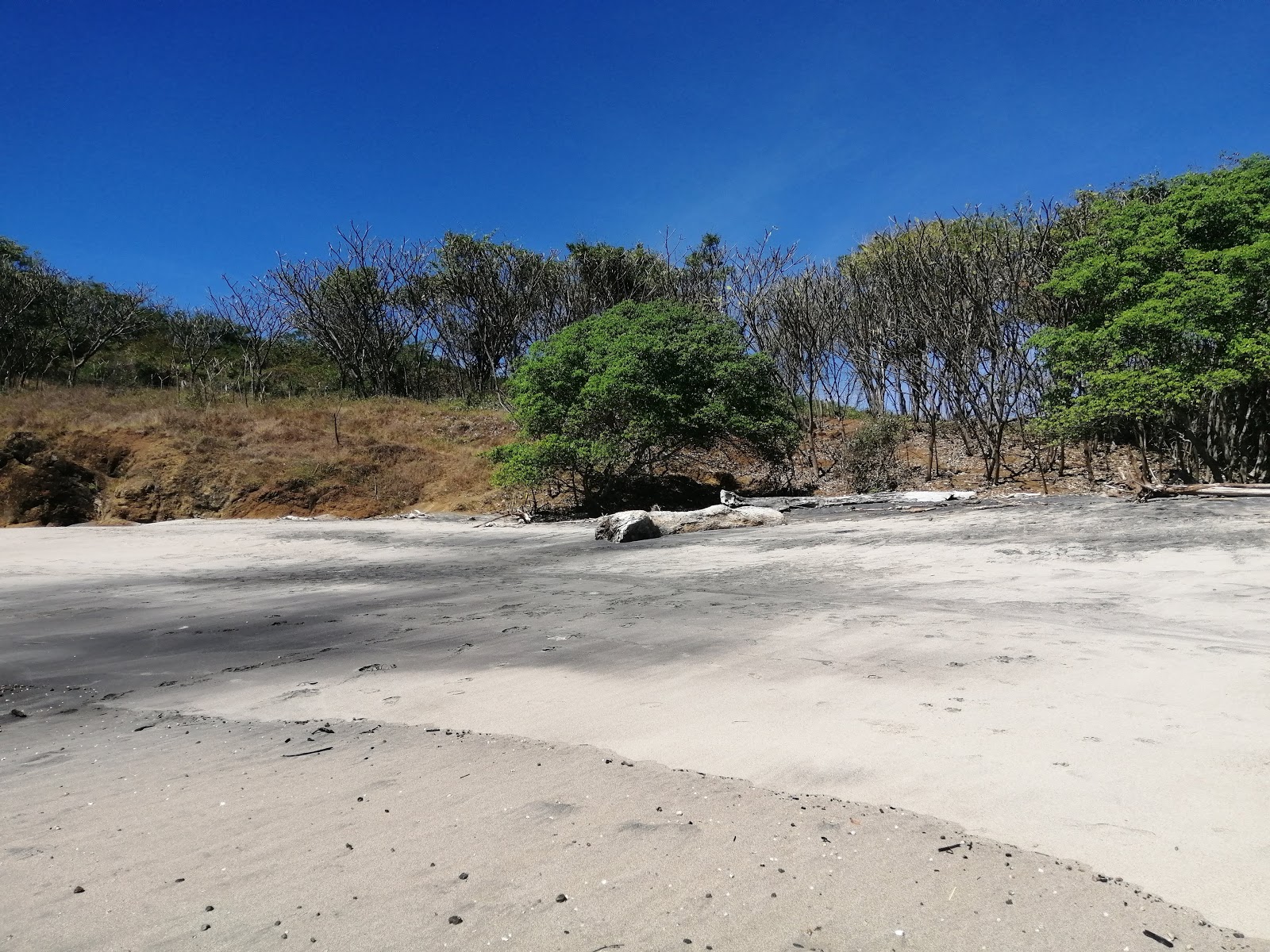 Foto de Playa Carbón con muy limpio nivel de limpieza