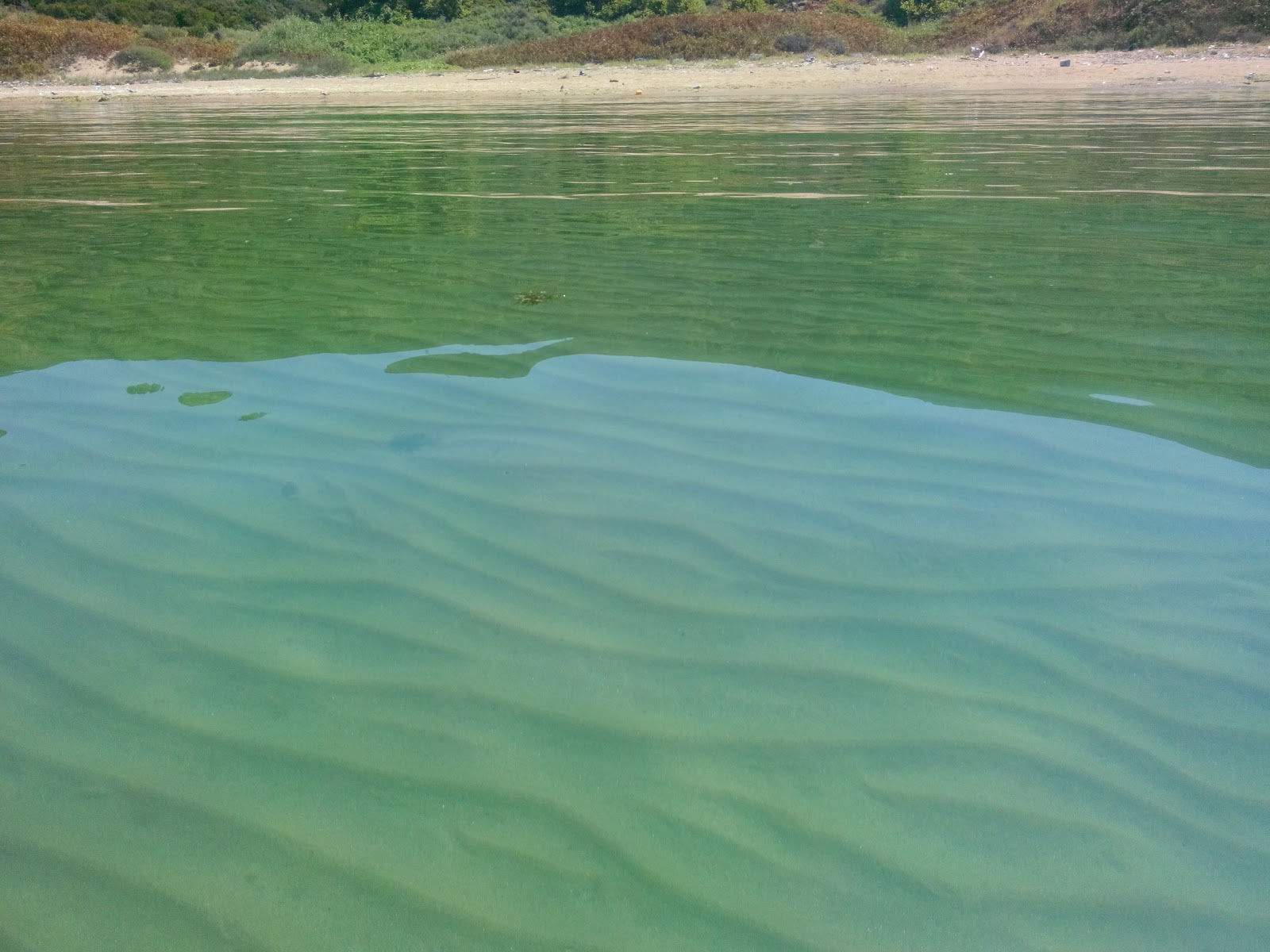 Foto de Ballipinar beach IV con agua azul-verde superficie