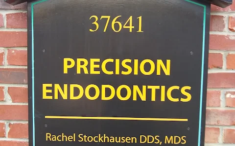 Precision Endodontics image
