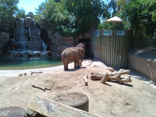 Fresno Chaffee Zoo, 894 W Belmont Ave, Fresno, CA 93728