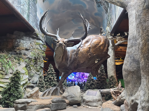 Aquarium «Wonders Of Wildlife National Museum & Aquarium», reviews and photos, 500 W Sunshine St, Springfield, MO 65807, USA