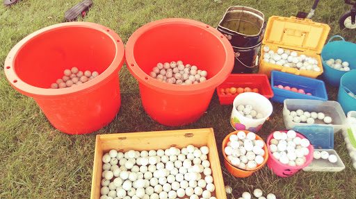 Public Golf Course «Pebble Brook Golf Club», reviews and photos, 3110 Westfield Rd, Noblesville, IN 46062, USA