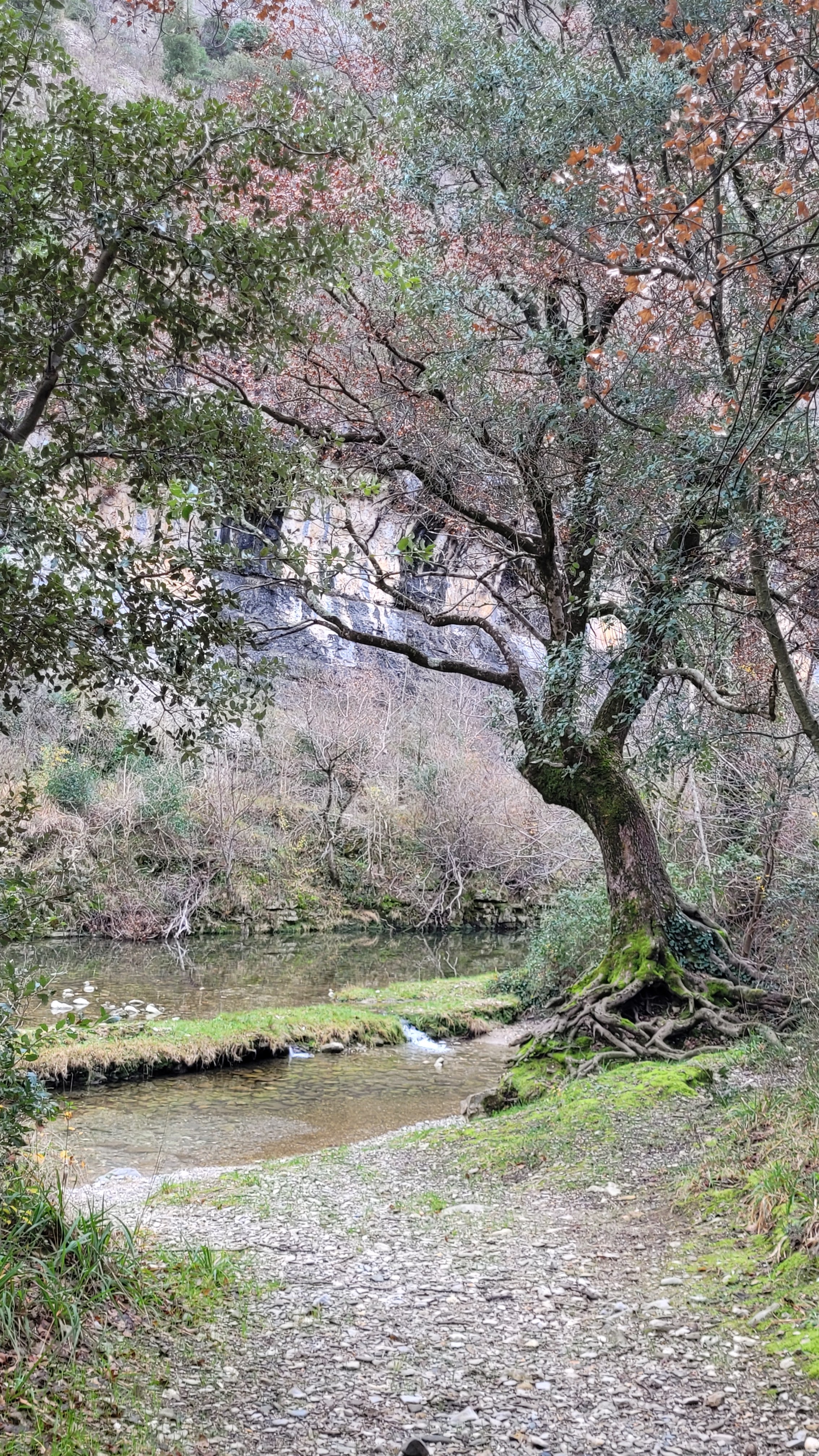 Photo n° 2 de l'avis de Salopette.o fait le 28/12/2022 à 18:35