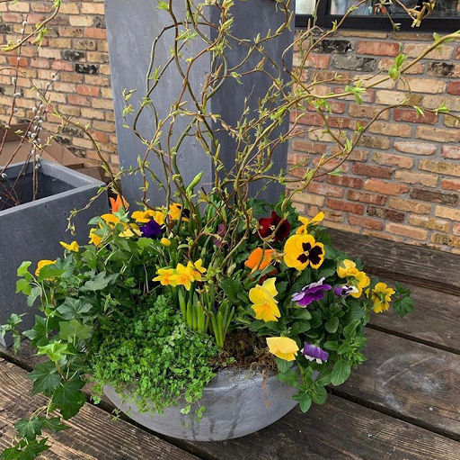 Florist «Arts & Flowers Inc», reviews and photos, 6011 Excelsior Blvd, Minneapolis, MN 55416, USA